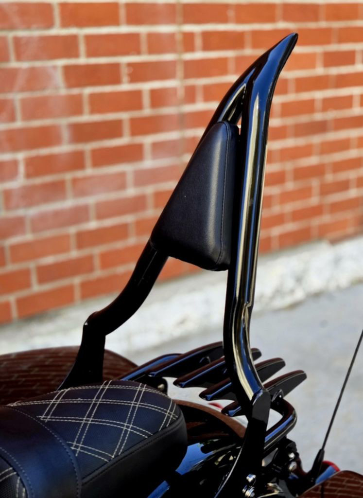 Street Glide® Special