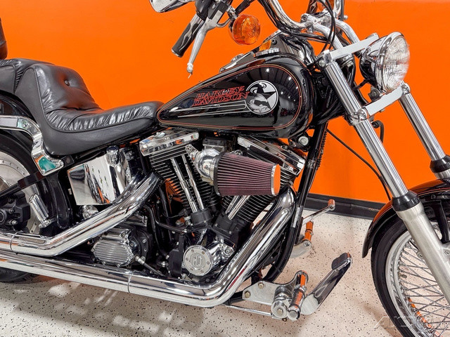 Softail® Custom