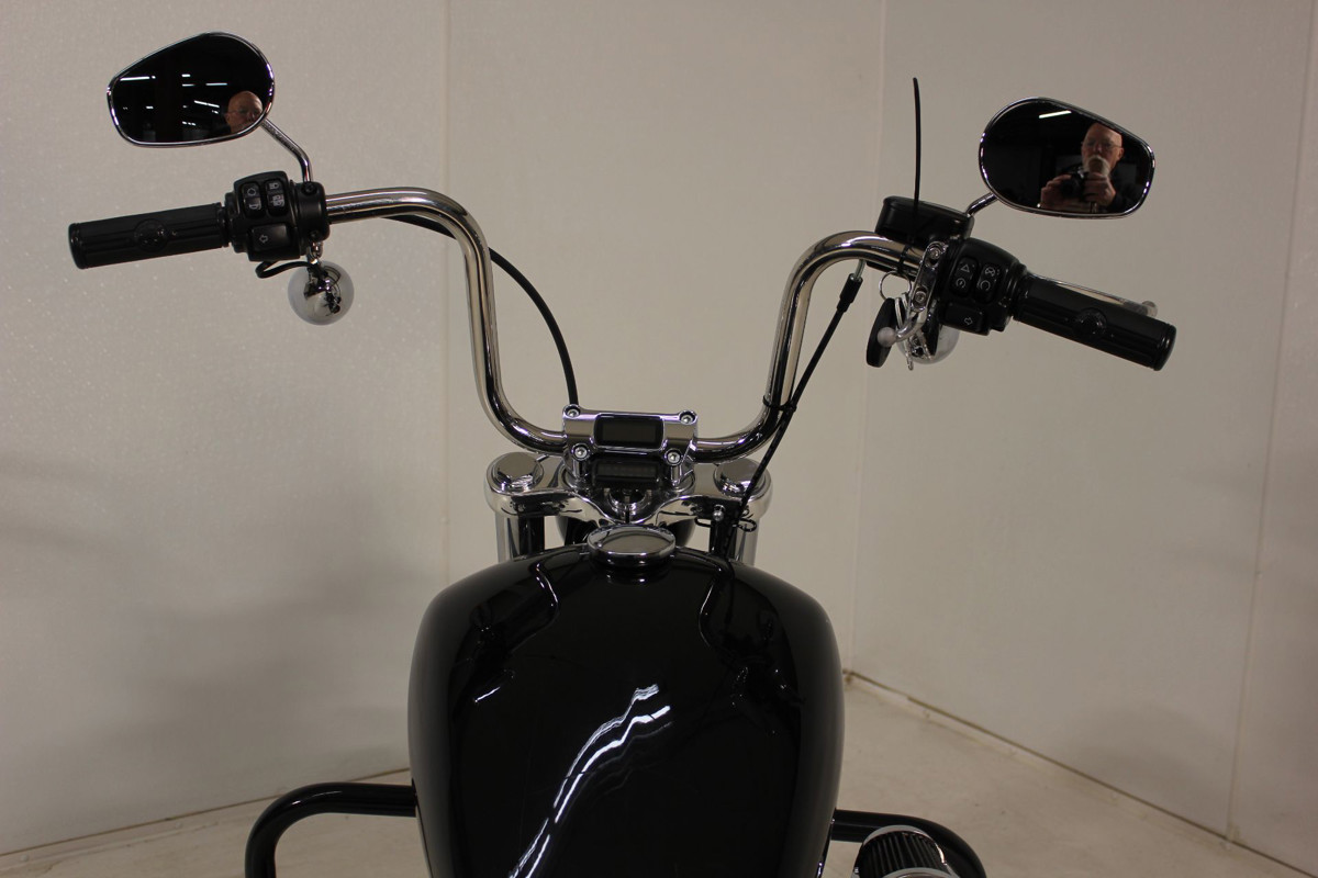 Softail® Standard