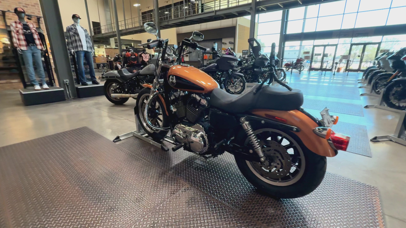 Sportster® 1200 Low Anniversary