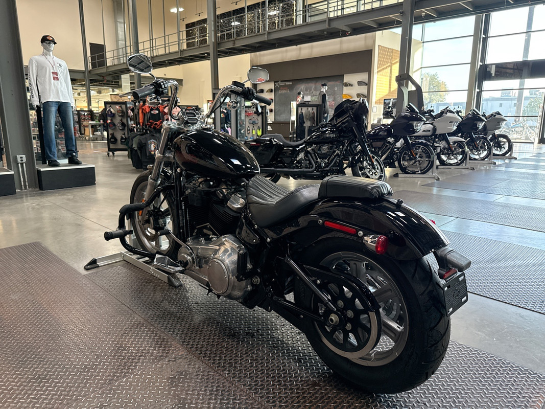 Softail® Standard
