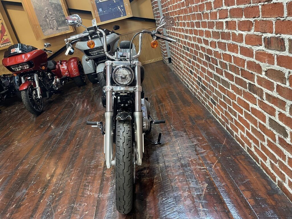 Softail® Standard
