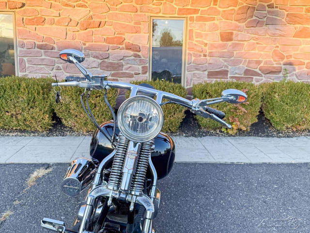 Springer® Softail®