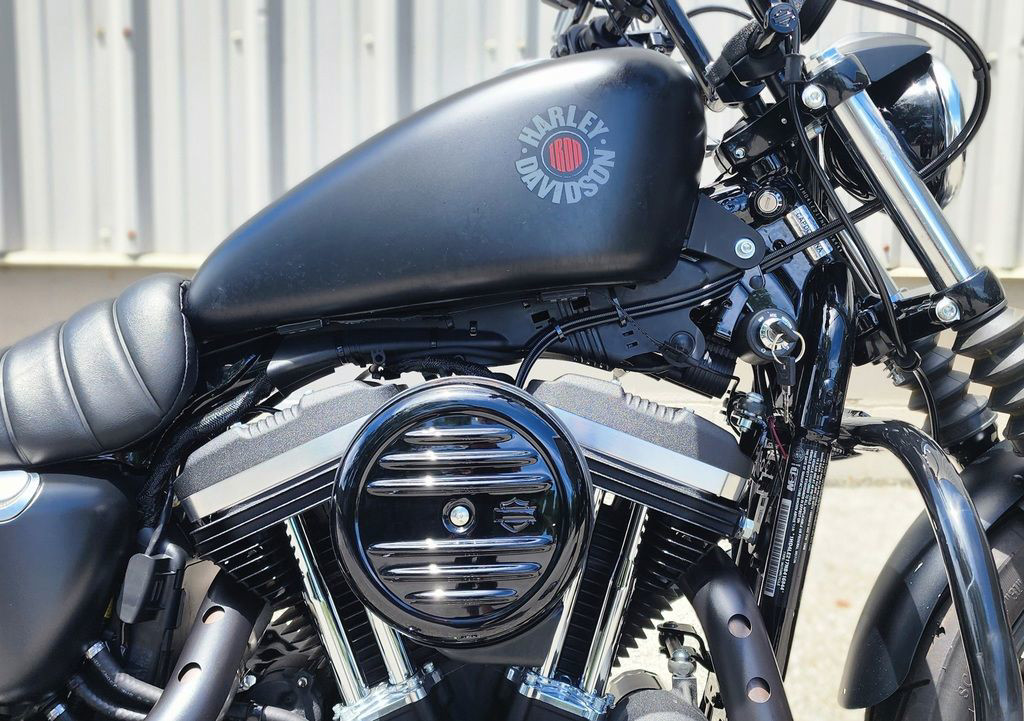 Iron 883®