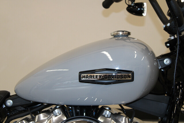 Street Bob®