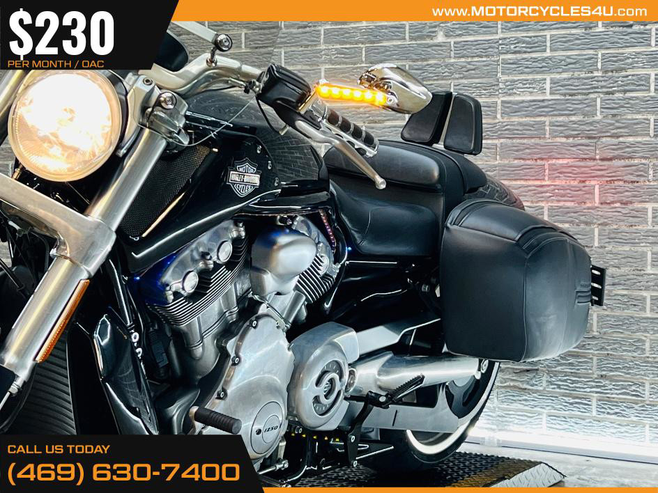 V-Rod Muscle®