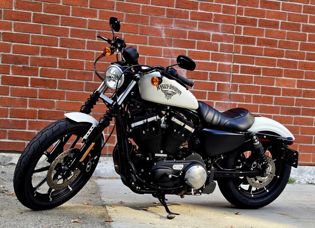 Sportster® Iron 883®