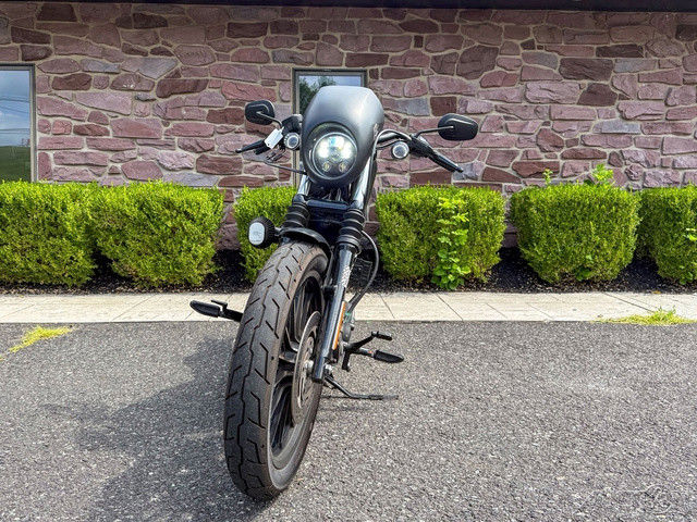 Sportster® 883