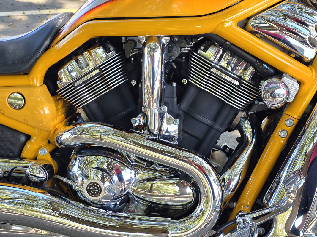 Screamin'  Eagle® V-Rod®