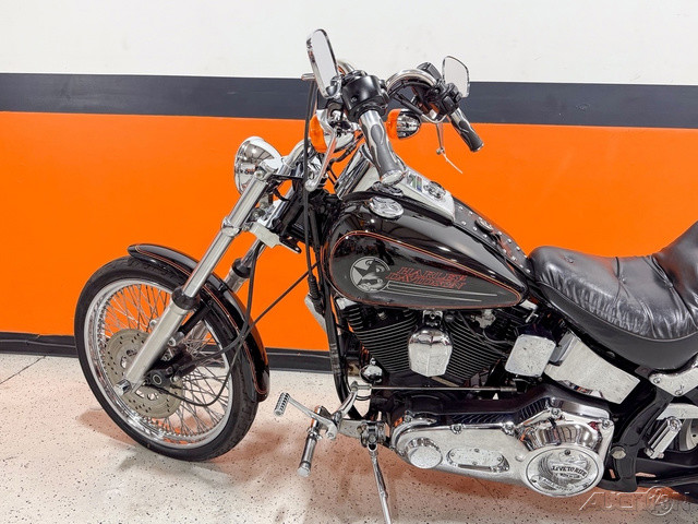Softail® Custom