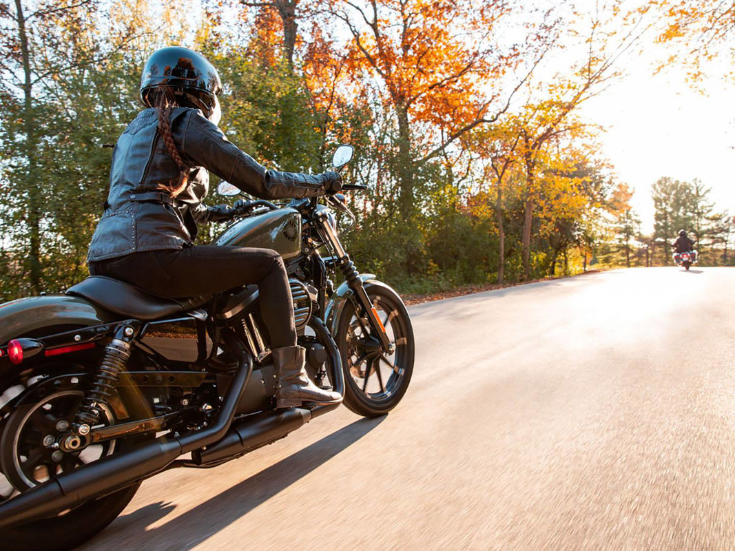 Iron 883®