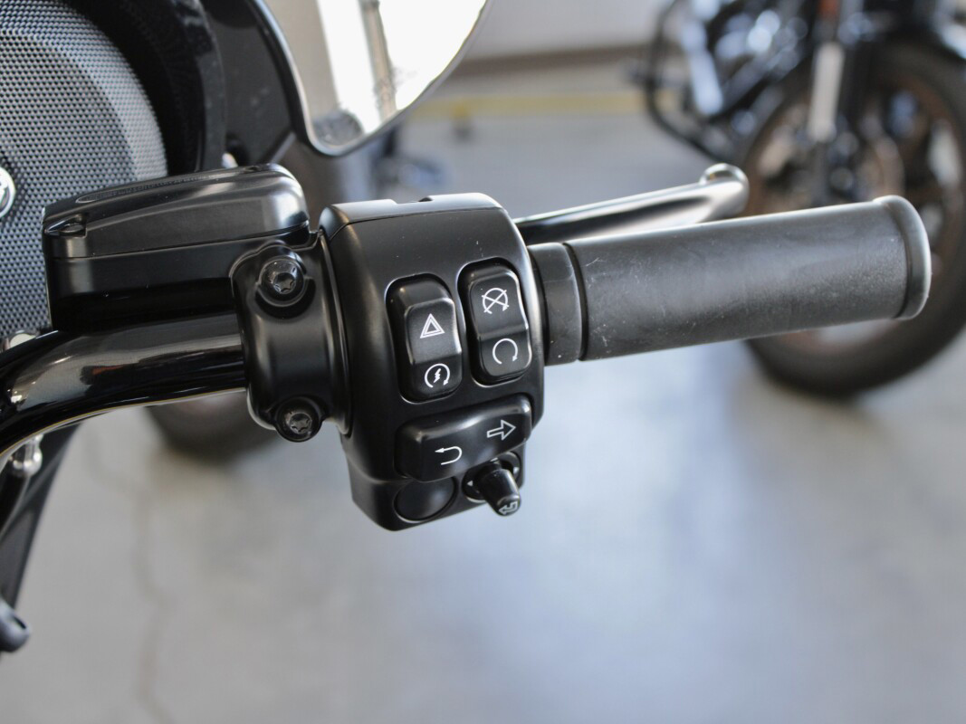 Street Glide® Special