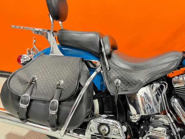 Springer® Softail®