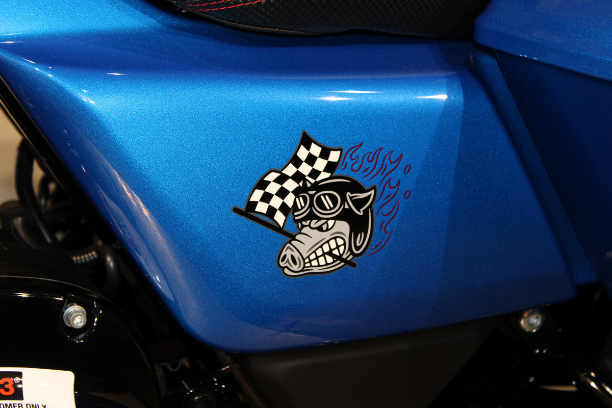 CVO® Street Glide® ST