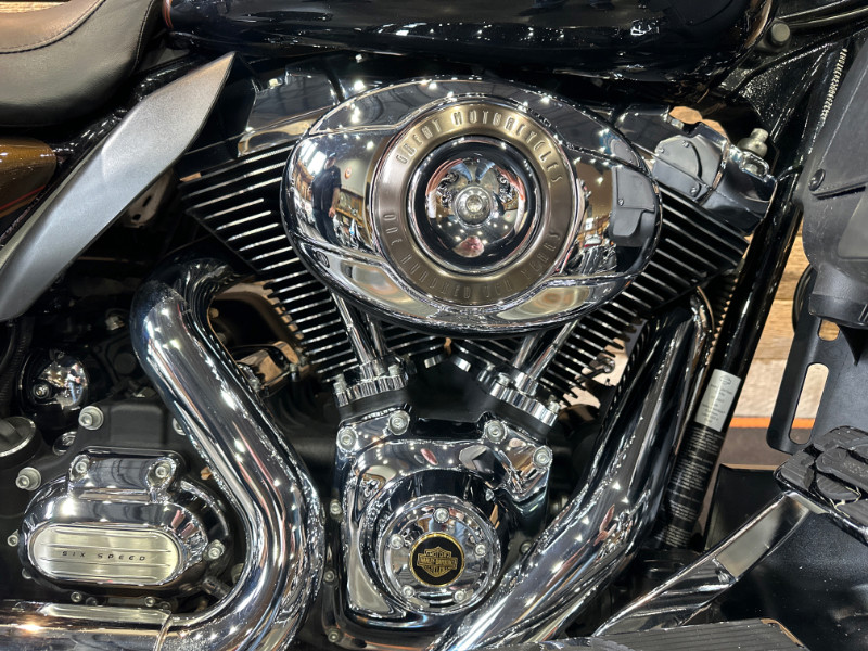 Electra Glide® Ultra® Limited 110th Anniversary