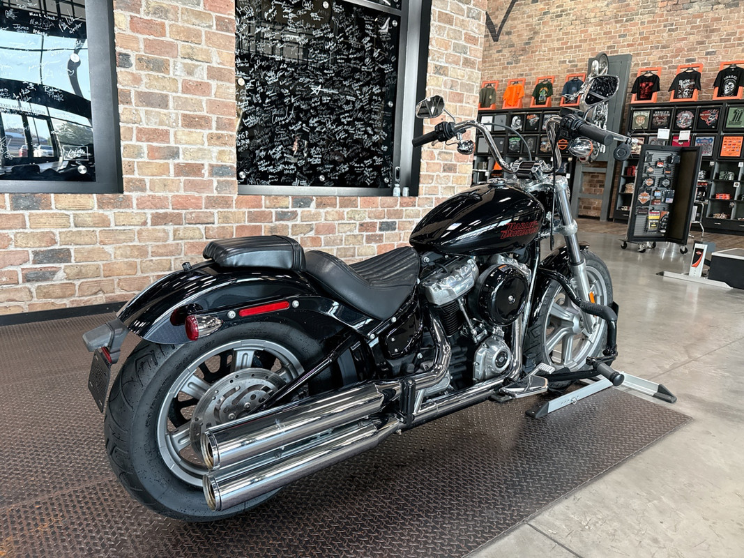 Softail® Standard