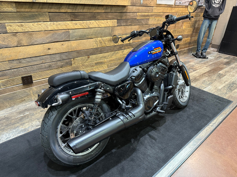 Nightster Special