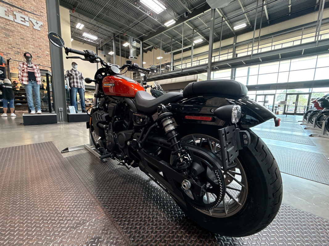 Nightster Special