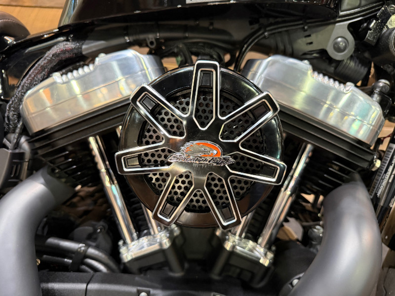 Sportster® Forty-Eight®