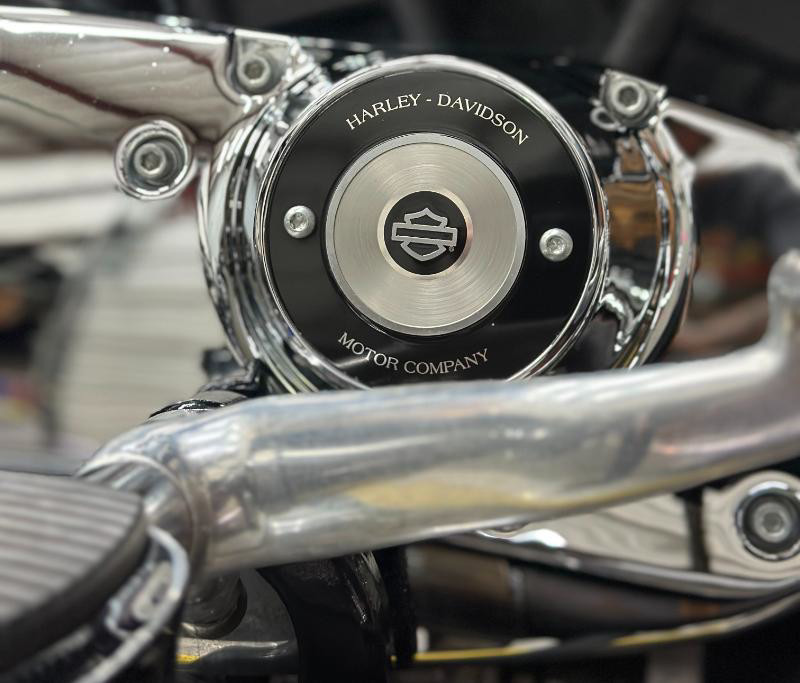 Sportster® 1200 Low