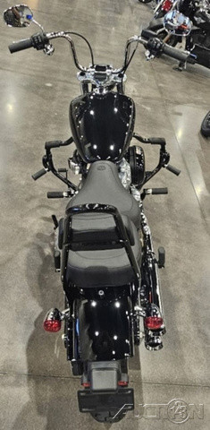 Softail® Standard