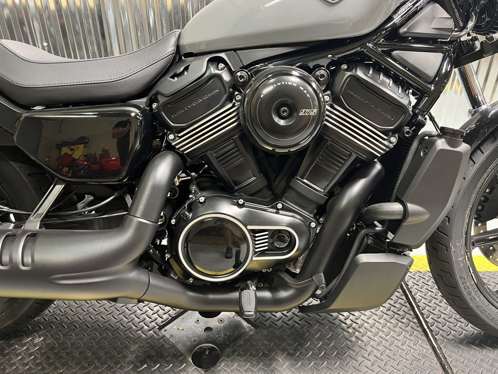 Nightster