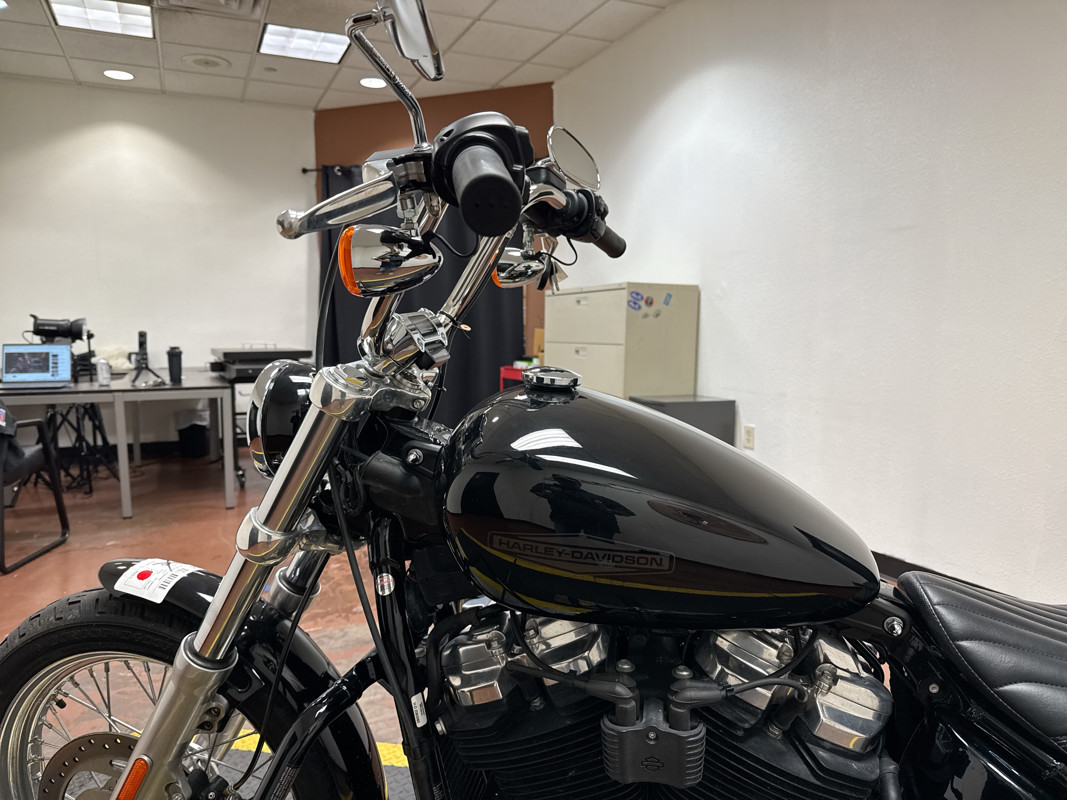 Softail® Standard