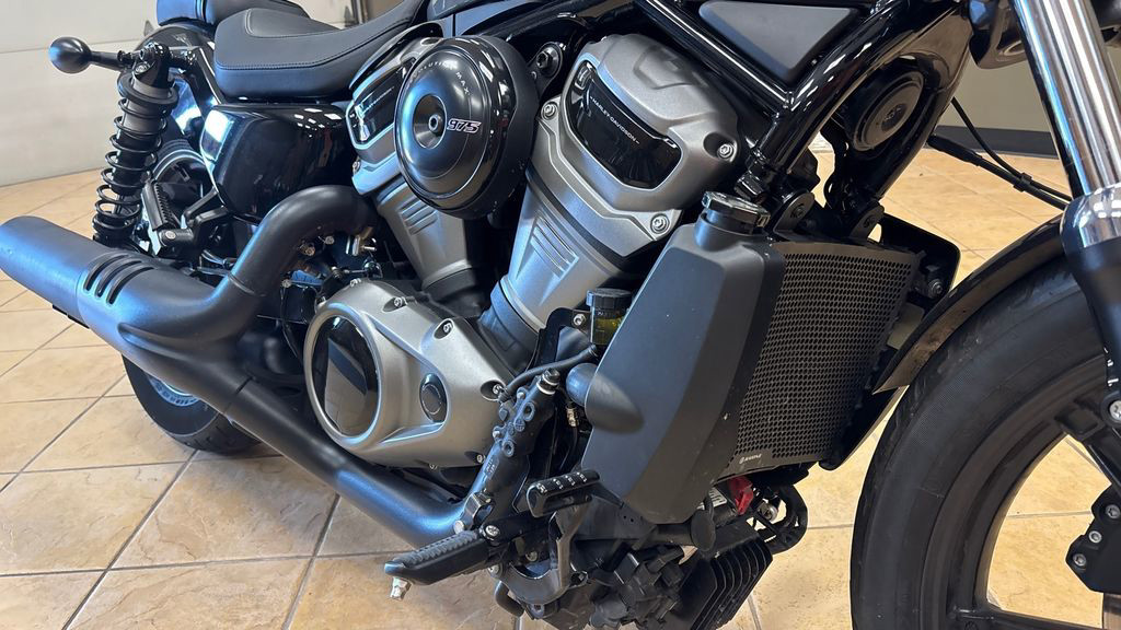 Nightster