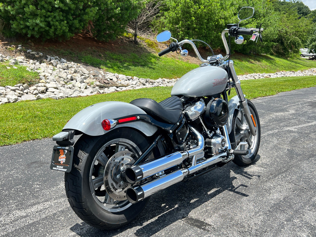 Softail® Standard