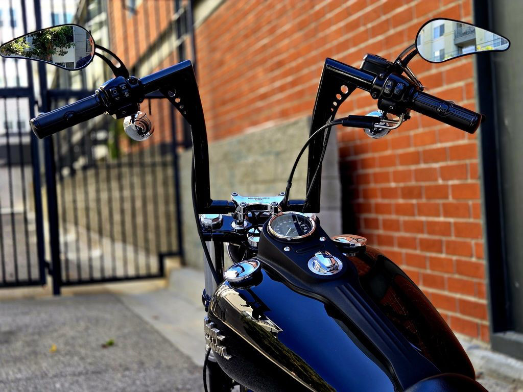 Dyna® Street Bob®