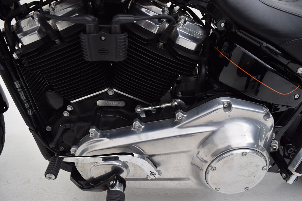 Softail® Standard