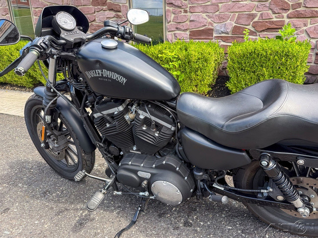 Sportster® 883