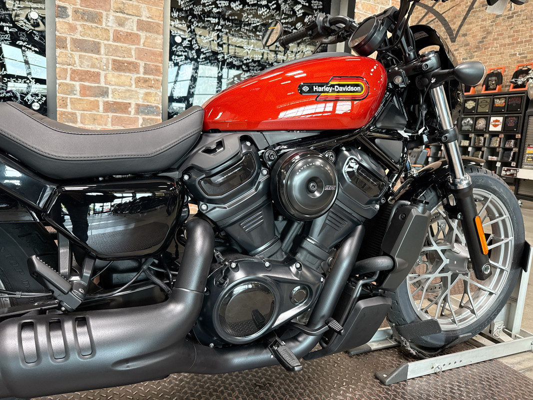 Nightster Special