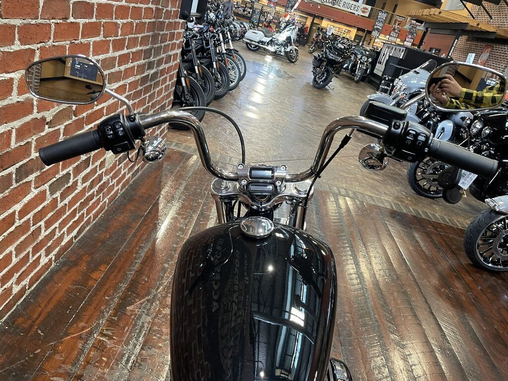 Softail® Standard