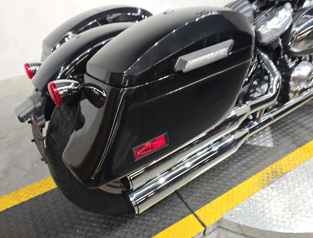 Softail® Standard
