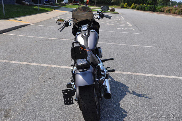 Dyna® Street Bob®