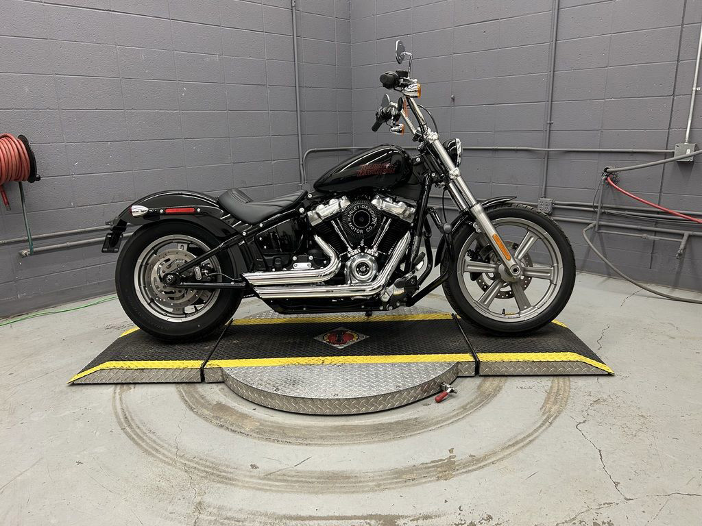 Softail® Standard