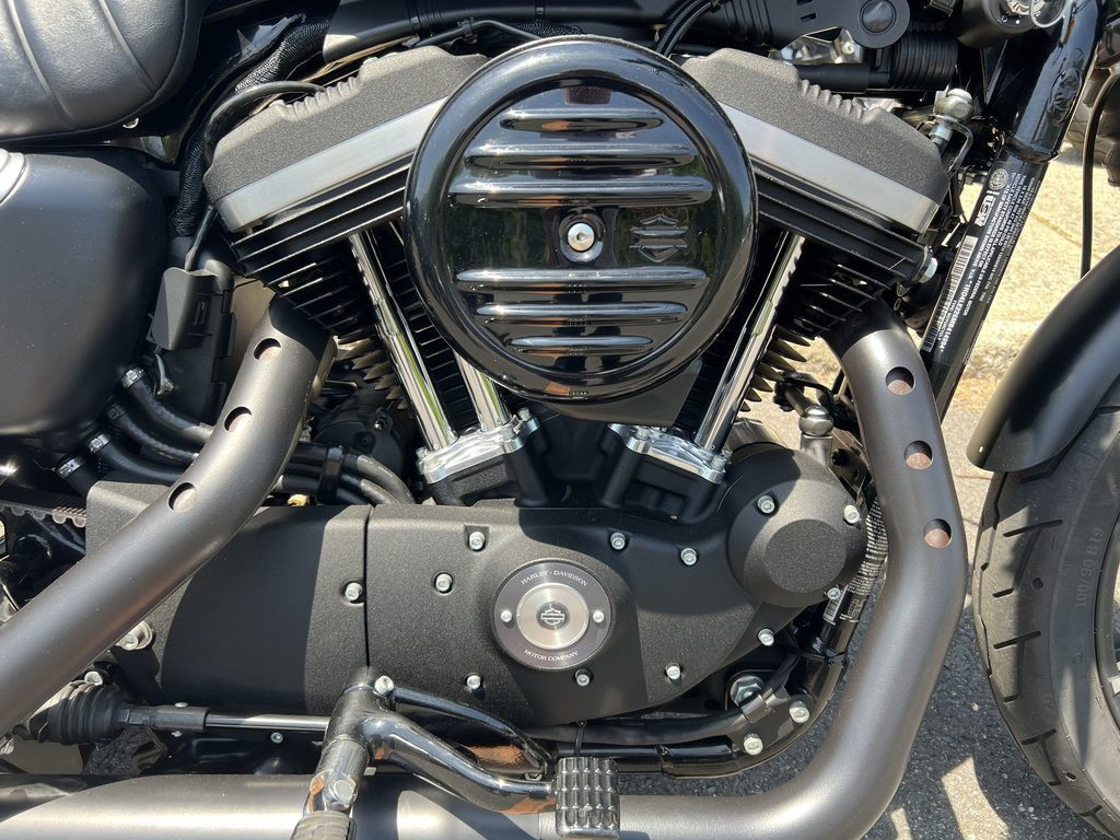 Iron 883®