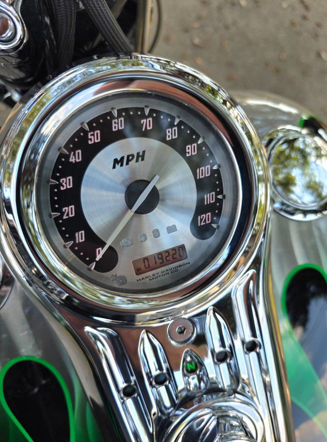 CVO® Softail® Springer®