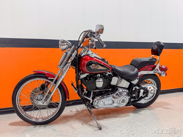 Springer® Softail®