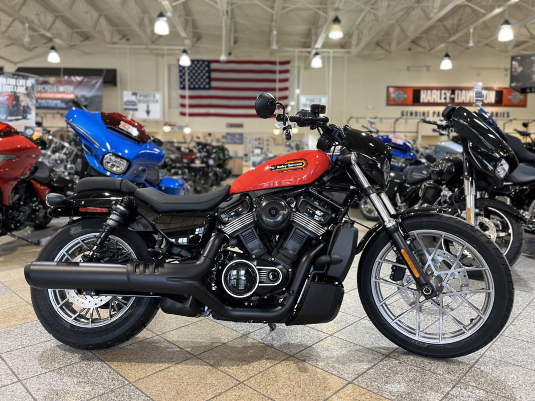 Nightster Special