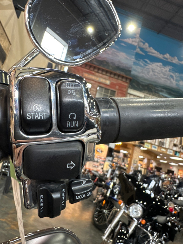 Electra Glide® Ultra® Limited 110th Anniversary