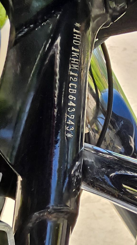 Road Glide® Custom