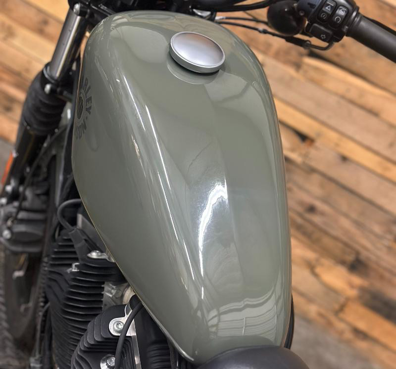 Iron 883®