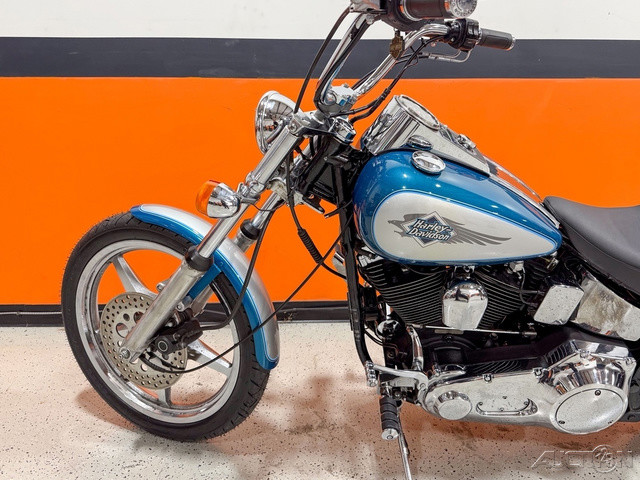 Softail® Custom