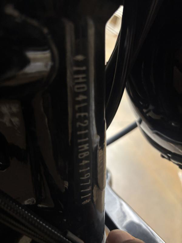Iron 883®