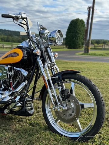 Softail® Springer® 
