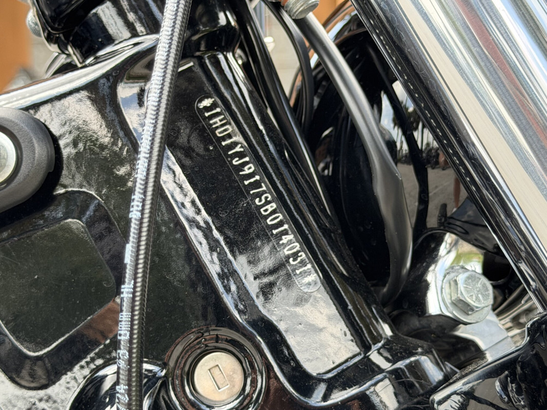 Street Bob®