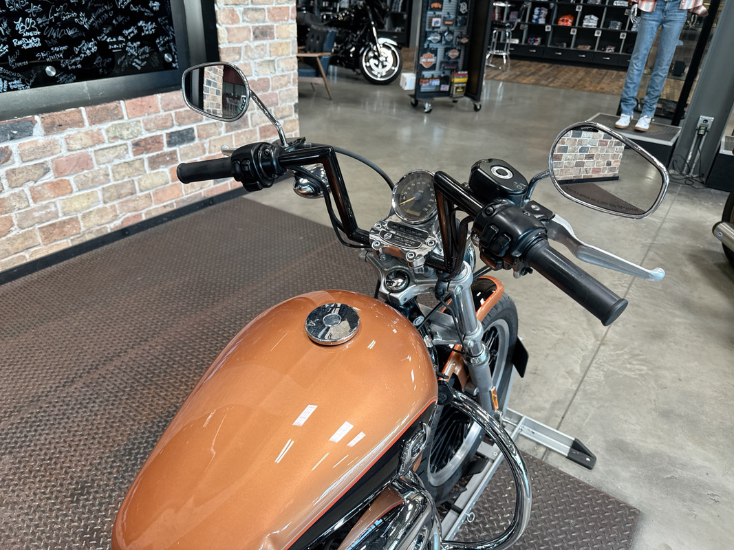 Sportster® 1200 Low Anniversary