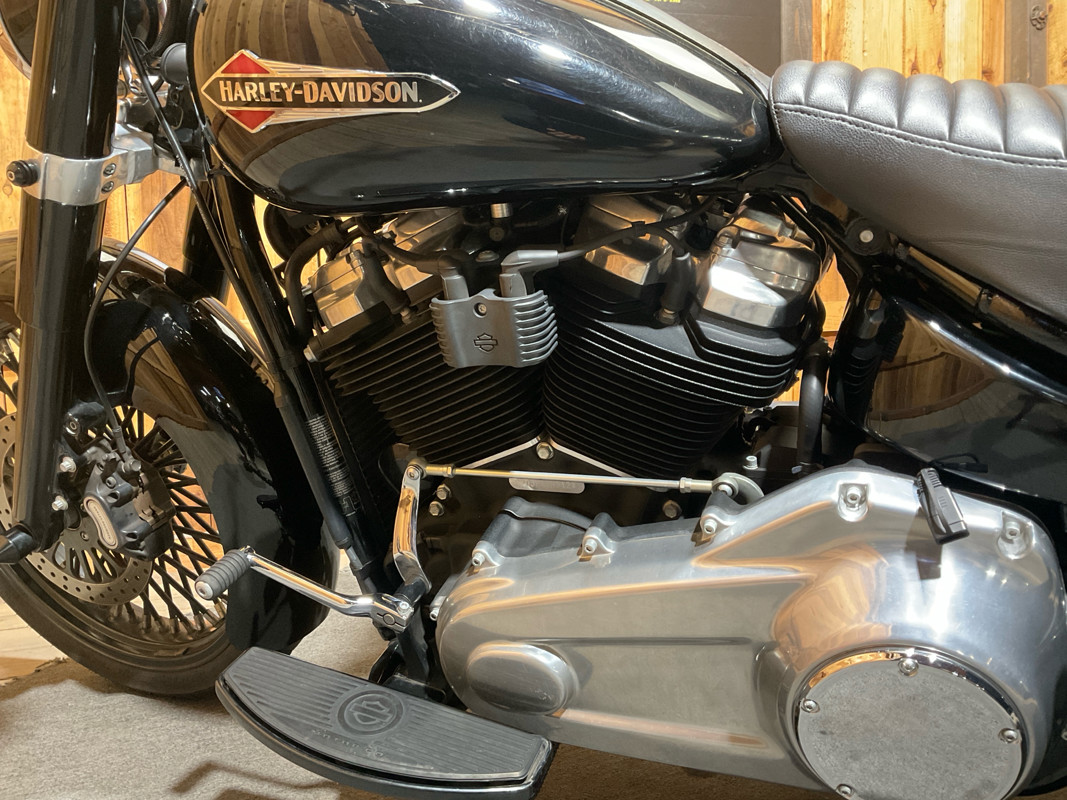 Softail® Slim®
